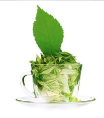 品味臺灣清新 四兩綠茶飲產(chǎn)品與店鋪視覺之美