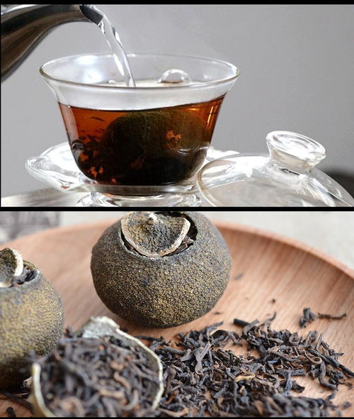 匠心融合，歲月陳香 品鑒新會(huì)陳皮與勐海普洱的至臻邂逅